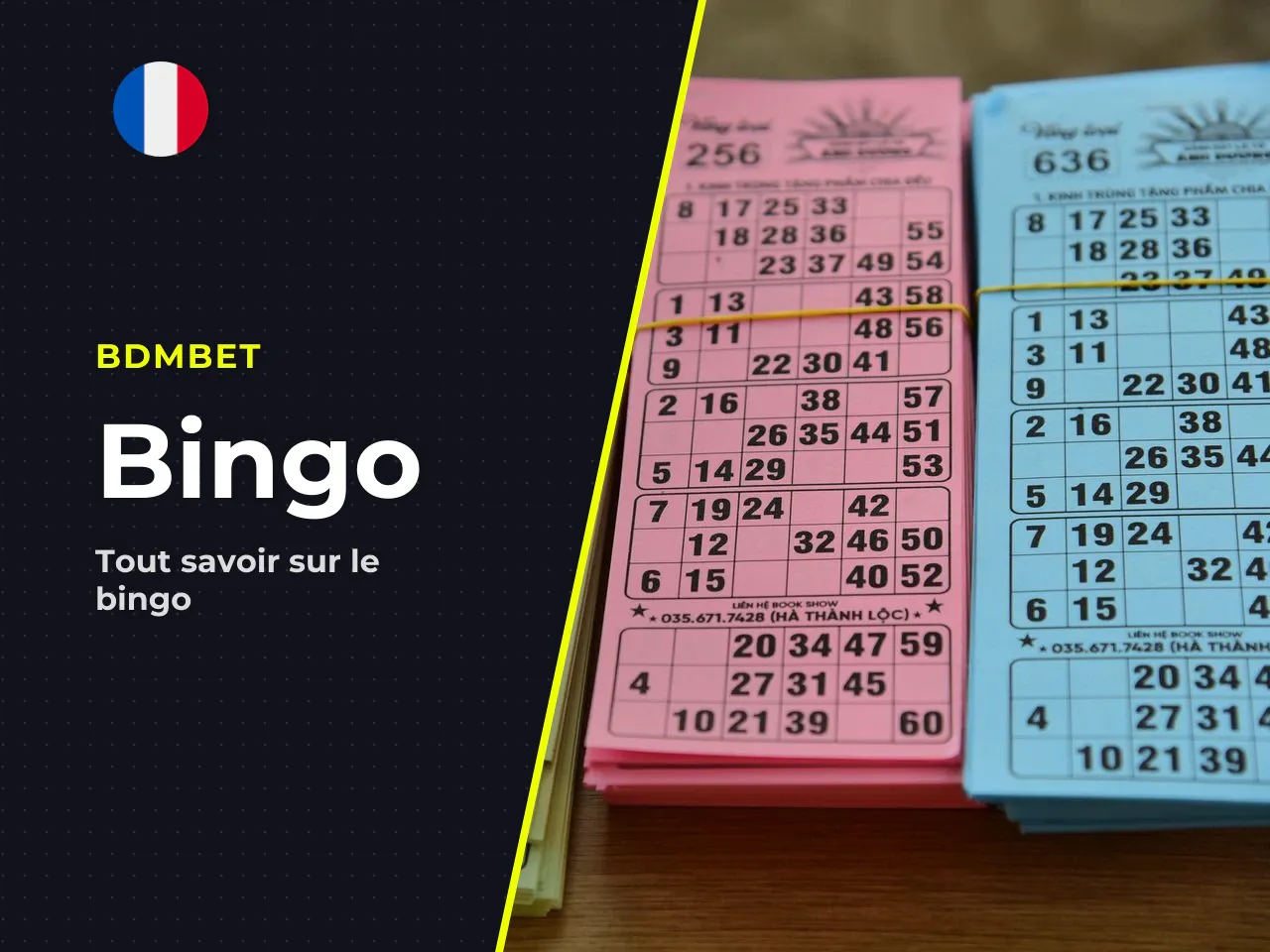 En résumé Le bingo en ligne