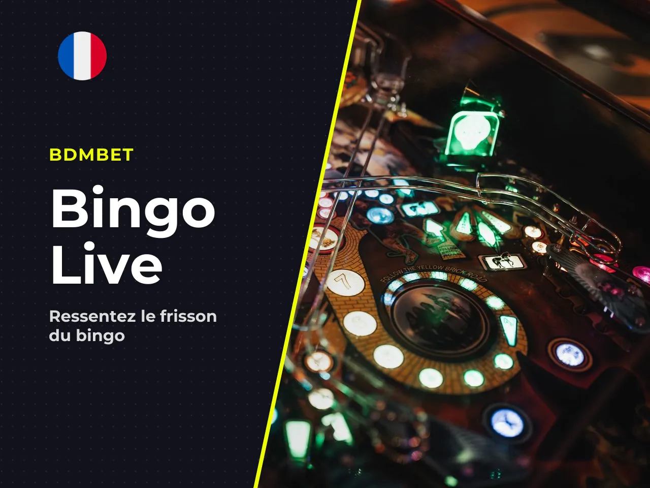 Points forts du bingo en direct