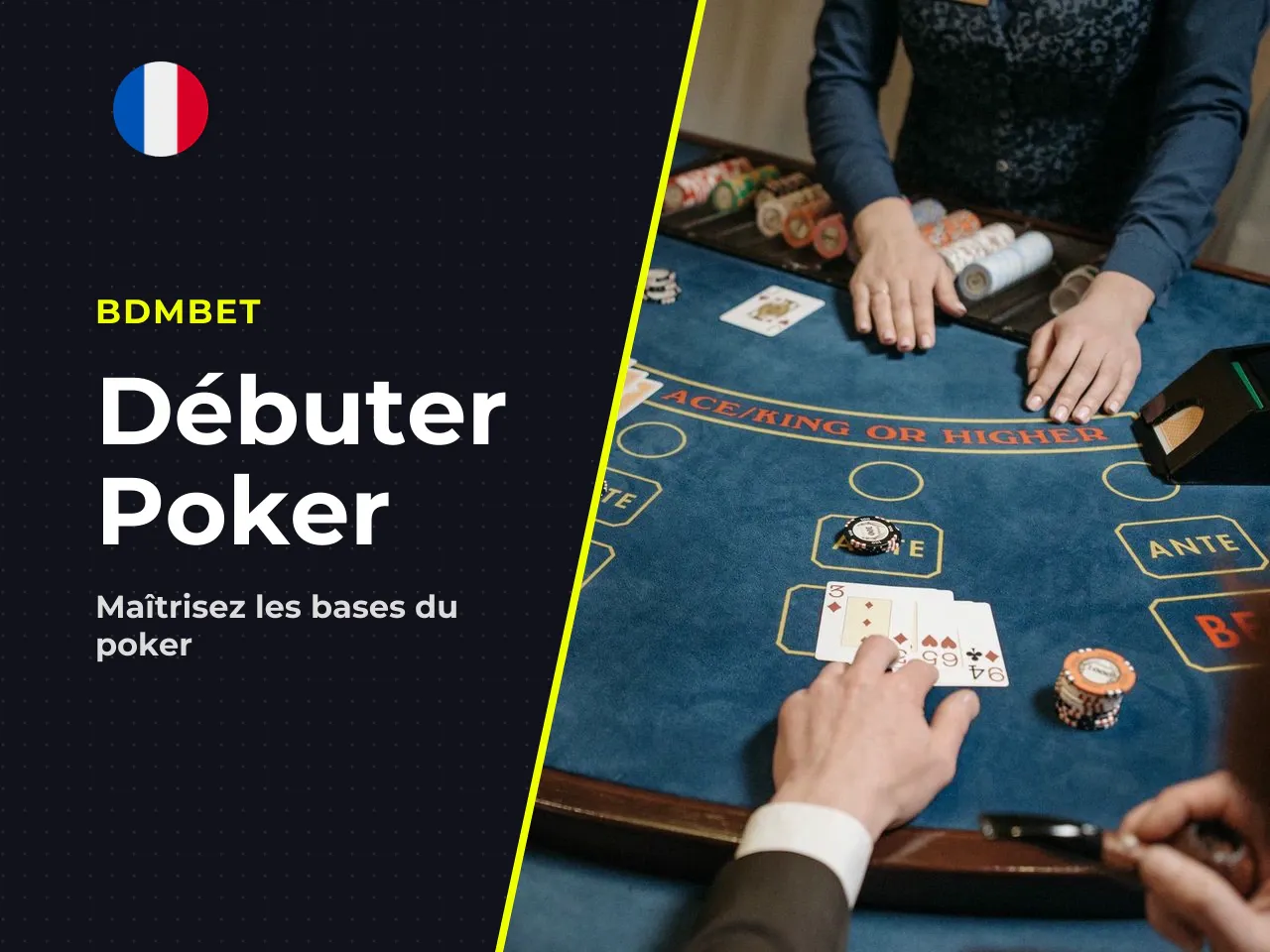 Conseils pour bien débuter dans le